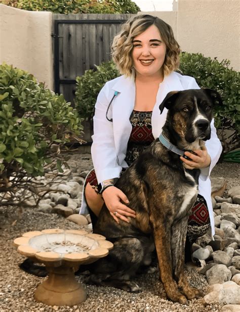 Aztec animal clinic - With a team of experienced and trained professionals, Aztec Animal Clinic ensures that your pets receive the highest level of care. Equipped with modern and state-of-the-art equipment, the clinic aims to enhance the health and well-being of your pets. 